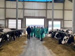 Szkolenie z dobrostanu zwierząt z elementami bioasekuracji w gospodarstwie rolnym