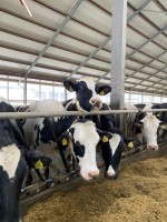 Szkolenie z dobrostanu zwierząt z elementami bioasekuracji w gospodarstwie rolnym