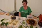 XXII edycja konkursu Nasze Kulinarne Dziedzictwo – Smaki Regionów rozstrzygnięta 