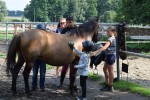 Agroturystyka Stajnia Karasiówka