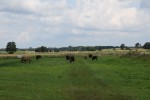 Agroturystyka Stajnia Karasiówka