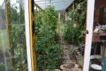 Agroturystyka Stobrawska Grzynda u Kaniów