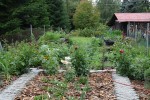 Agroturystyka Stobrawska Grzynda u Kaniów