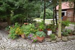 Agroturystyka Stobrawska Grzynda u Kaniów