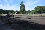 Gospodarstwo Agroturystyczne "Ranczo Tamiza"