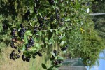 Agroturystyka Tęcza