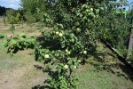 Agroturystyka Tęcza