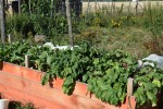 Gospodarstwo Rolne z Agroturystyką "Brygadziaki"