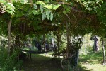 Agroturysyka "Uroczysko"