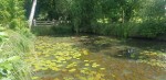 Agroturystyka nad rzeką