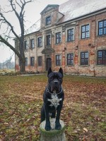 Gospodarstwo agroturystyczne Krzysztof Erm