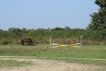 Gospodarstwo agroturystyczne "Pony"