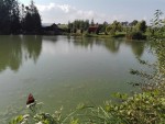 Łowisko smażalnia Pstrążek