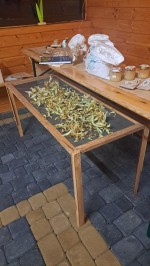 Projekt „Zioła dla zdrowia” w Popielowskiej Kolonii! 