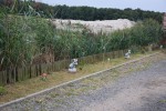 Agroturystyka &bdquo;Judyta&rdquo; Ewa Guźla