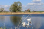Agroturystyka &bdquo;Lamich&rdquo;