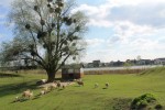 Agroturystyka &bdquo;Lamich&rdquo;