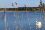 Agroturystyka &bdquo;Lamich&rdquo;