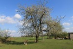 Agroturystyka &bdquo;Lamich&rdquo;