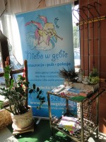 Restauracja-pup-pokoje "Niebo w gębie"