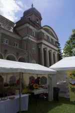 Wiosna Kwiatów 2014 r. 