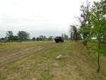 Piknik na Florydzie 2016