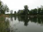 Piknik na Florydzie 2016