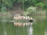 Piknik na Florydzie 2016