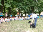 Piknik na Florydzie 2016