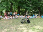 Piknik na Florydzie 2016