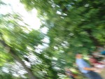 Piknik na Florydzie 2016