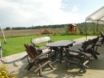 Agroturystyka "U Walczaków"