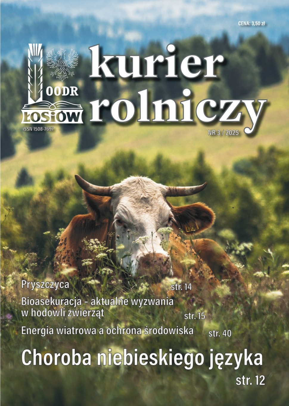 Zaprenumeruj
